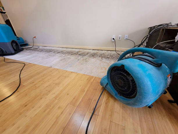 Professional Water Damage Repair technician working in Brooklyn, MS